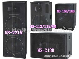 rvs,專業(yè)工程音響,演出音響,遠(yuǎn)程音響 舞臺(tái)專業(yè)音響 工程音響價(jià)格