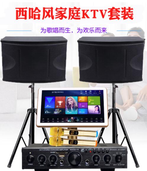 春節(jié)聚會不用再去ktv了,在家也能k歌了